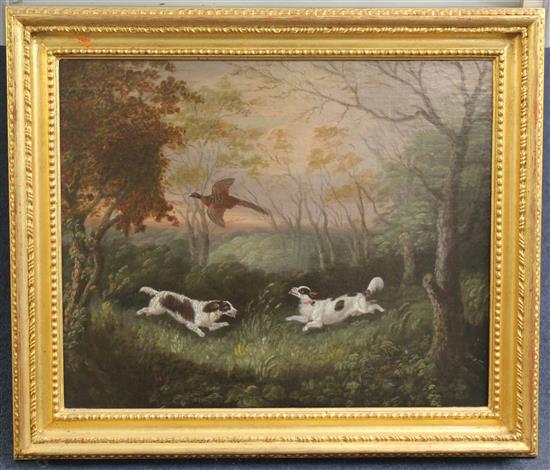 Clifton Tomson (1775-1828) Spaniels flushing out cock pheasant, 14.5 x 17.5in.